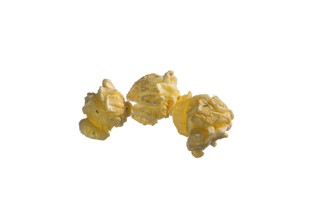 Take Away Popcorn Favors - 20 count per case (Orders Placed For Pickup Will Need 5 Business Days)