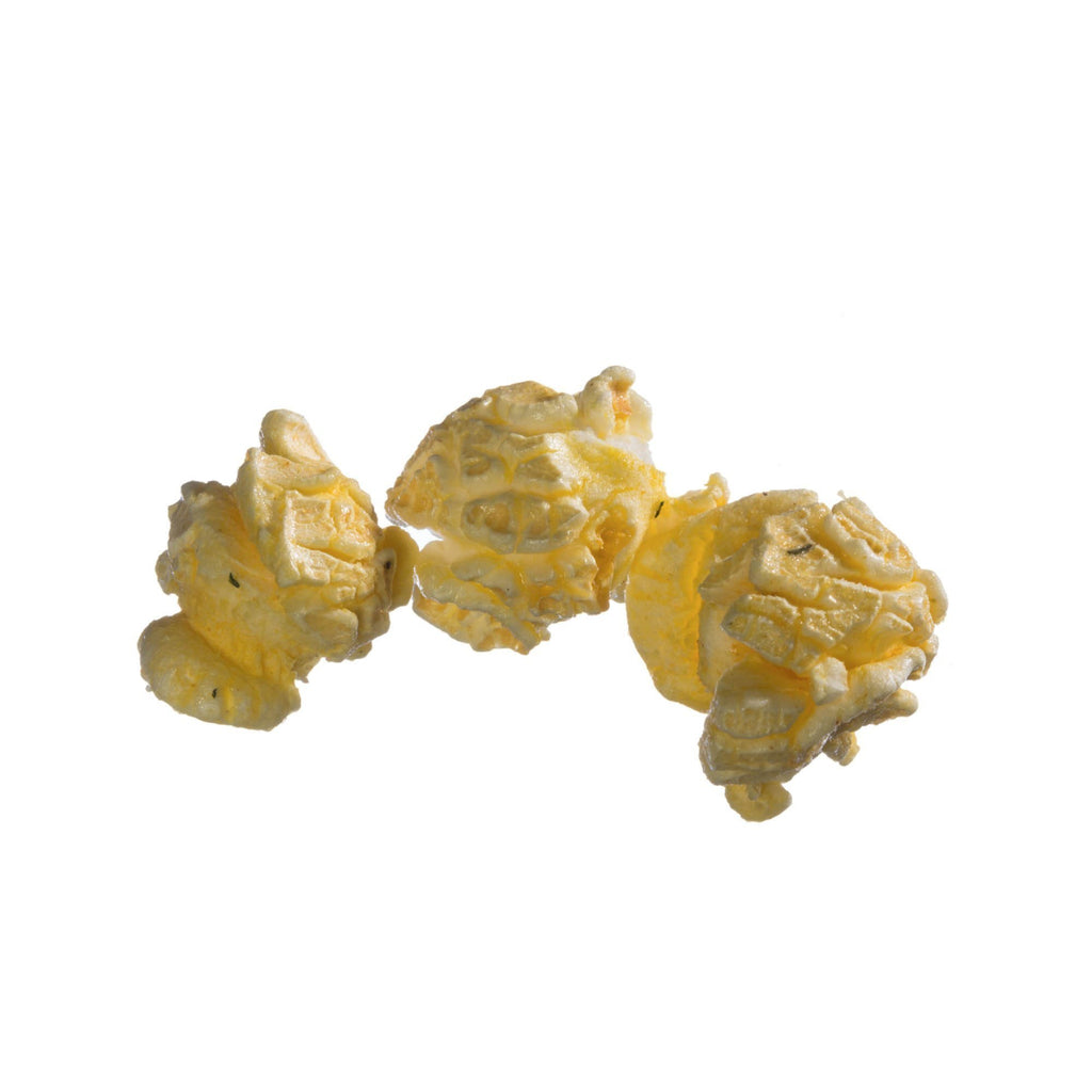 The DIY Popcorn Bar - bulk (Orders Placed For Pickup Will Need 5 Business Days)